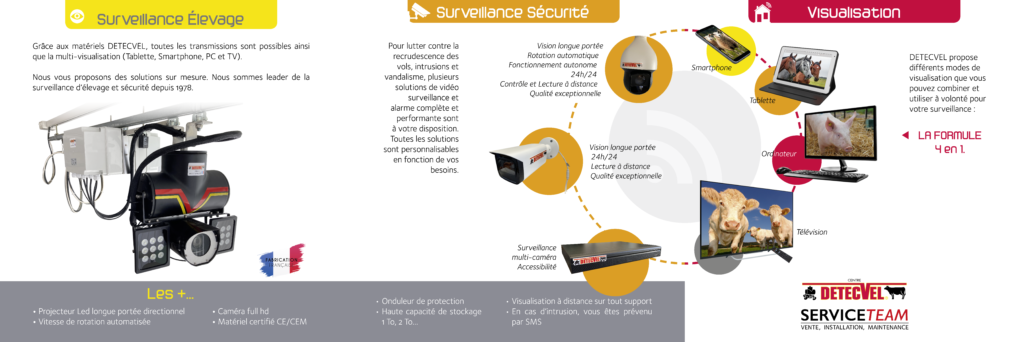 Fiche explicative de l'outil de Surveillance DetecVel